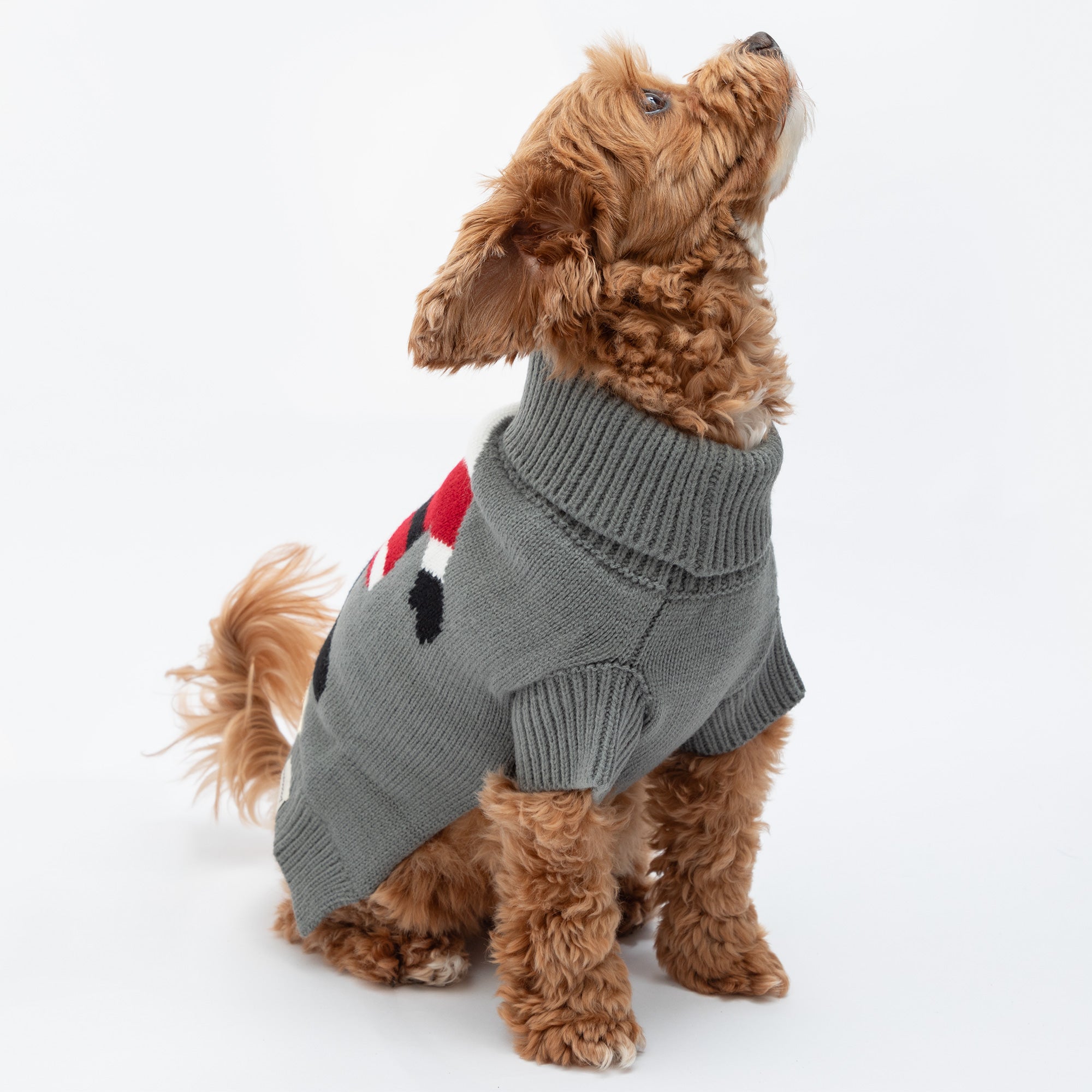 Cozy Christmas Pet Sweater - Aaria Tees Aaria Tees