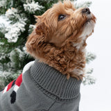 Cozy Christmas Pet Sweater - Aaria Tees Aaria Tees