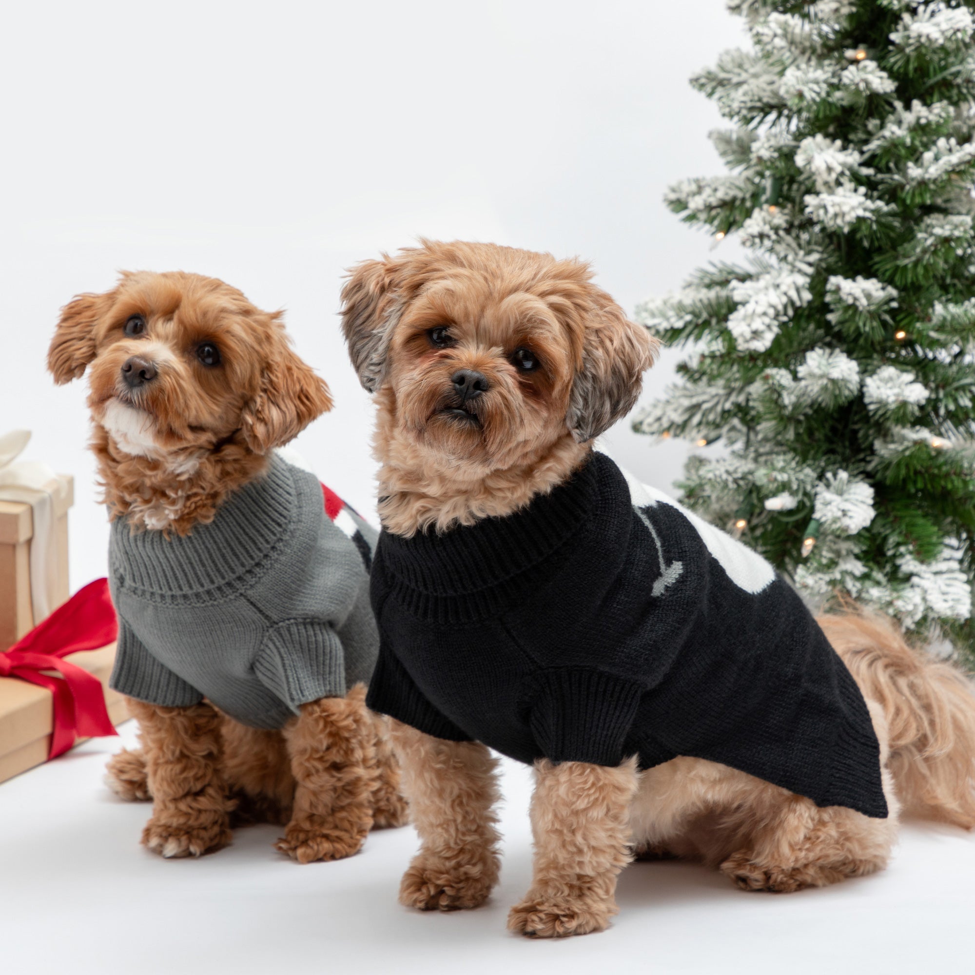 Cozy Christmas Pet Sweater - Aaria Tees Aaria Tees