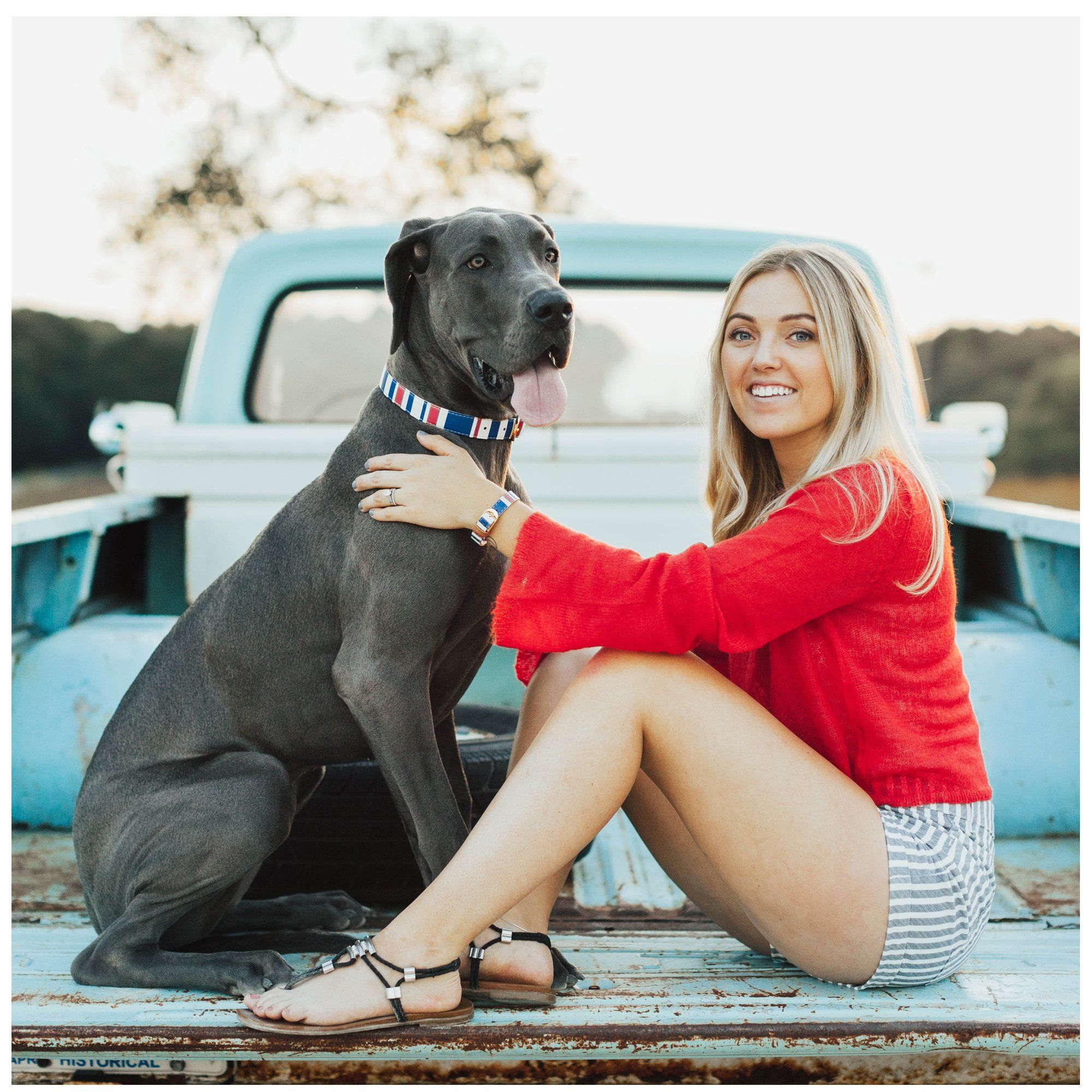 Nautical Pup Friendship Collar & Bracelet Set - Aaria Tees Aaria Tees