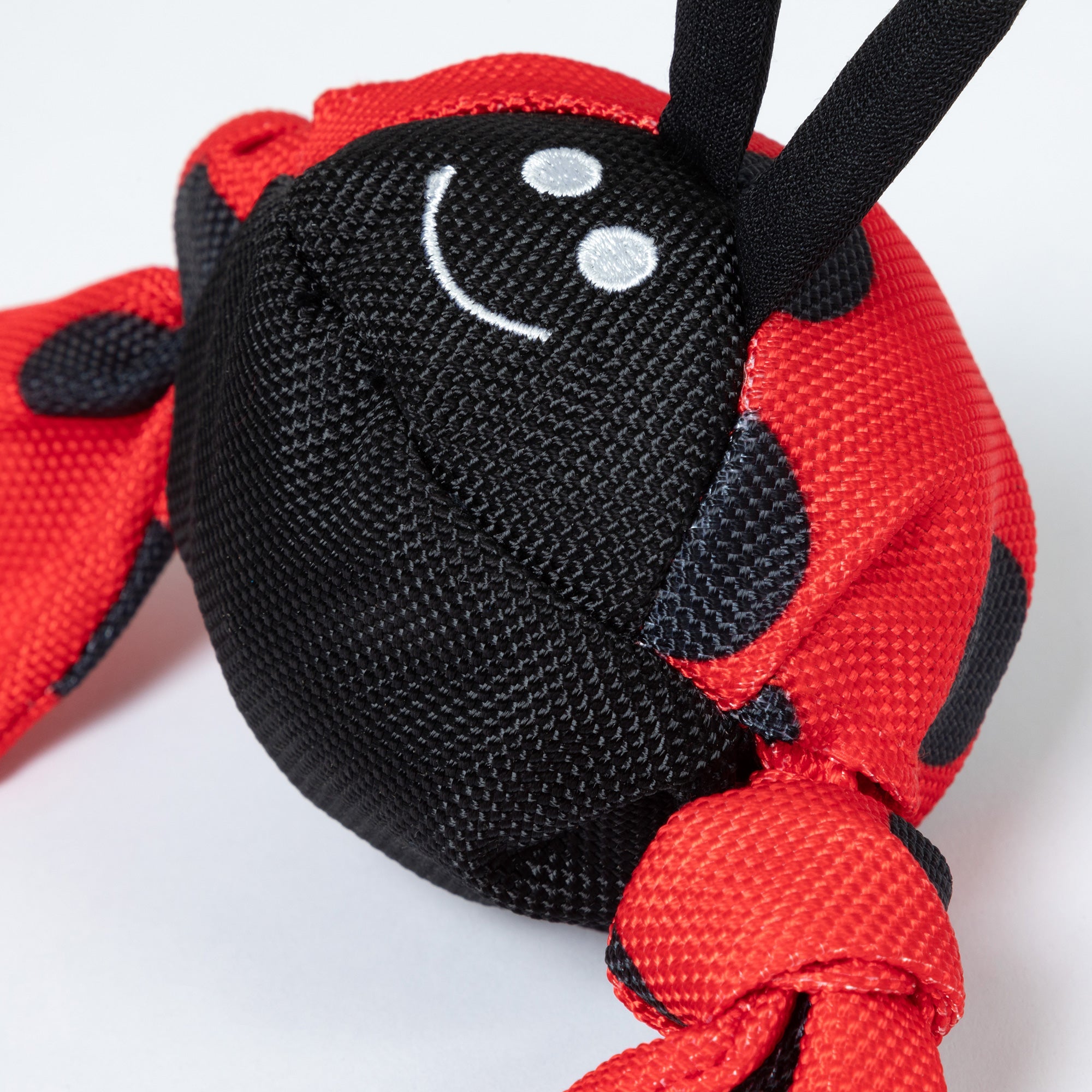 Jolly Pets Jolly Tug&trade; Insect Medium Dog Toy - Aaria Tees Aaria Tees