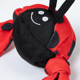 Jolly Pets Jolly Tug&trade; Insect Medium Dog Toy - Aaria Tees Aaria Tees