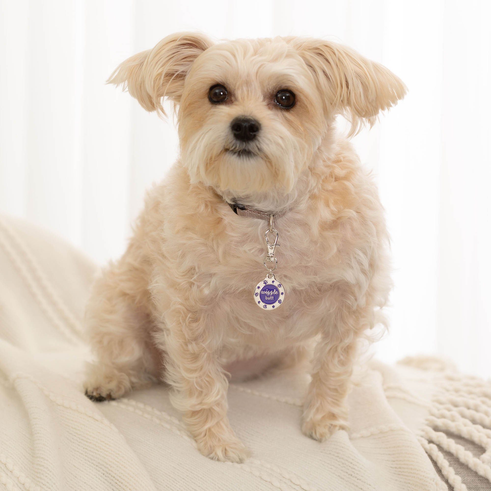 Wiggle Butt Pet Tag - Aaria Tees Aaria Tees