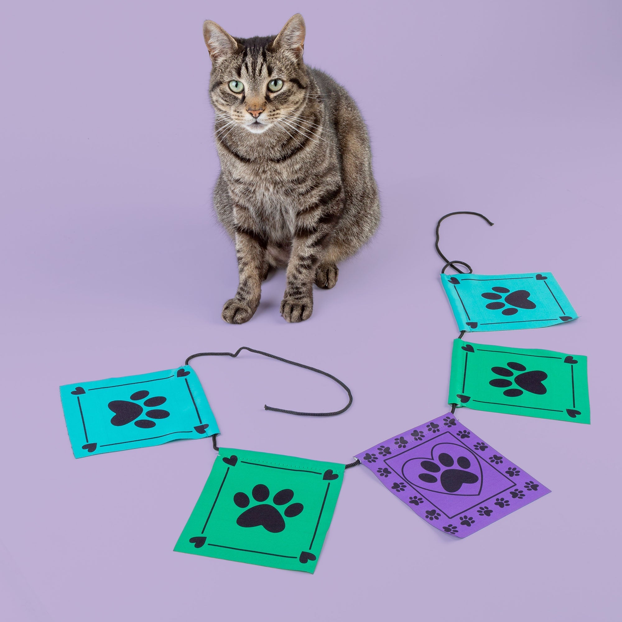 Paw Print Outdoor Flags - Aaria Tees Aaria Tees