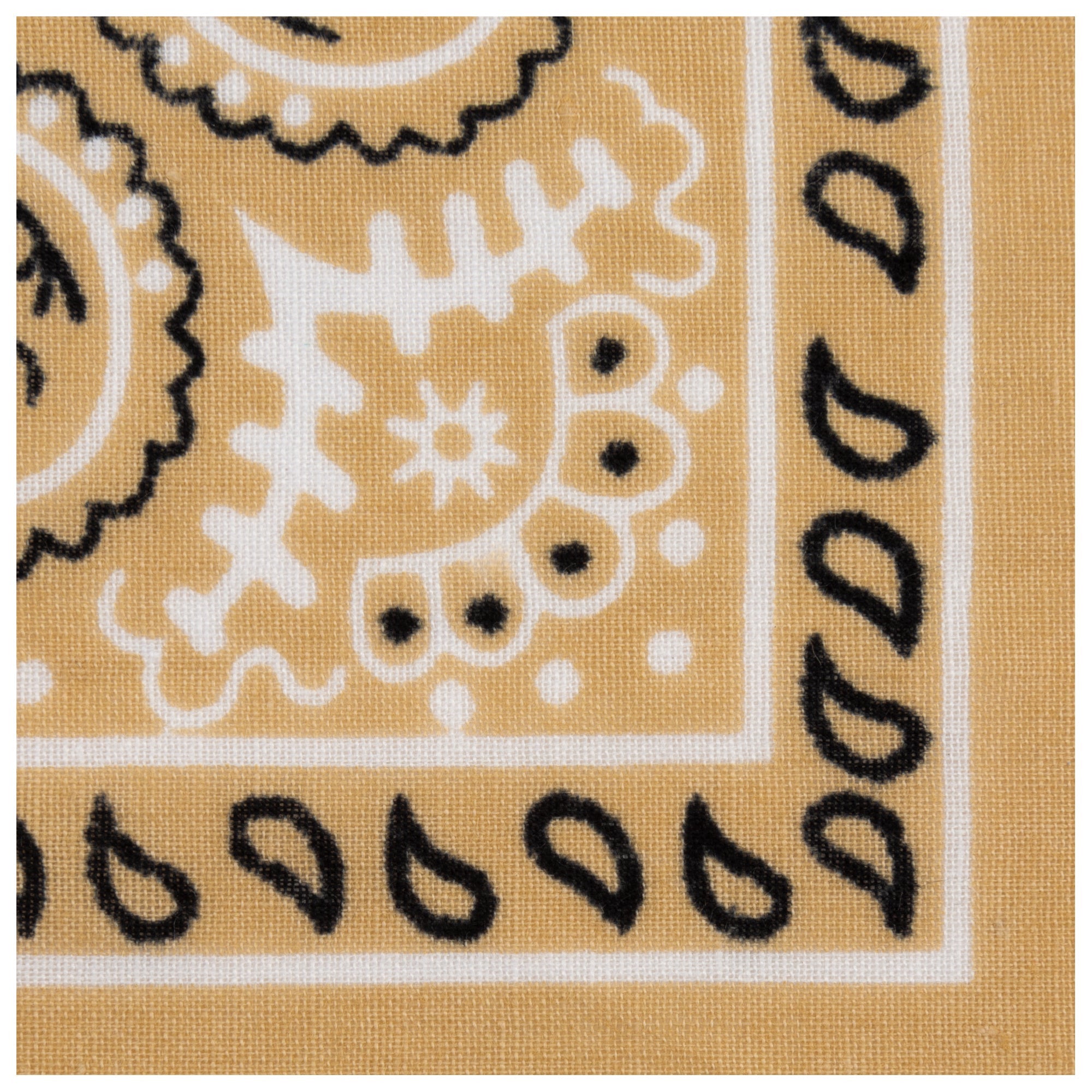 Pop of Color Classic Bandana - Aaria Tees Aaria Tees
