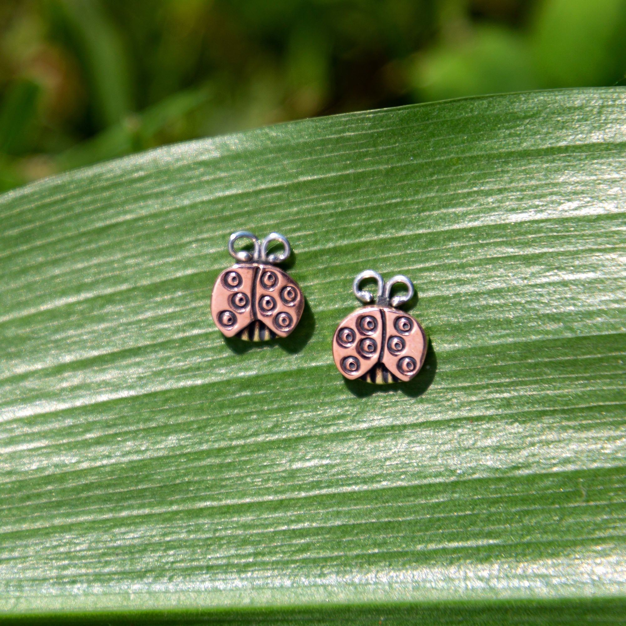 Sweet Ladybug Post Earrings - Aaria Tees Aaria Tees