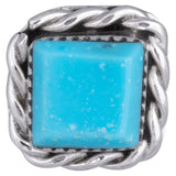 Sterling Zuni Twisted Post Earrings - Aaria Tees Aaria Tees