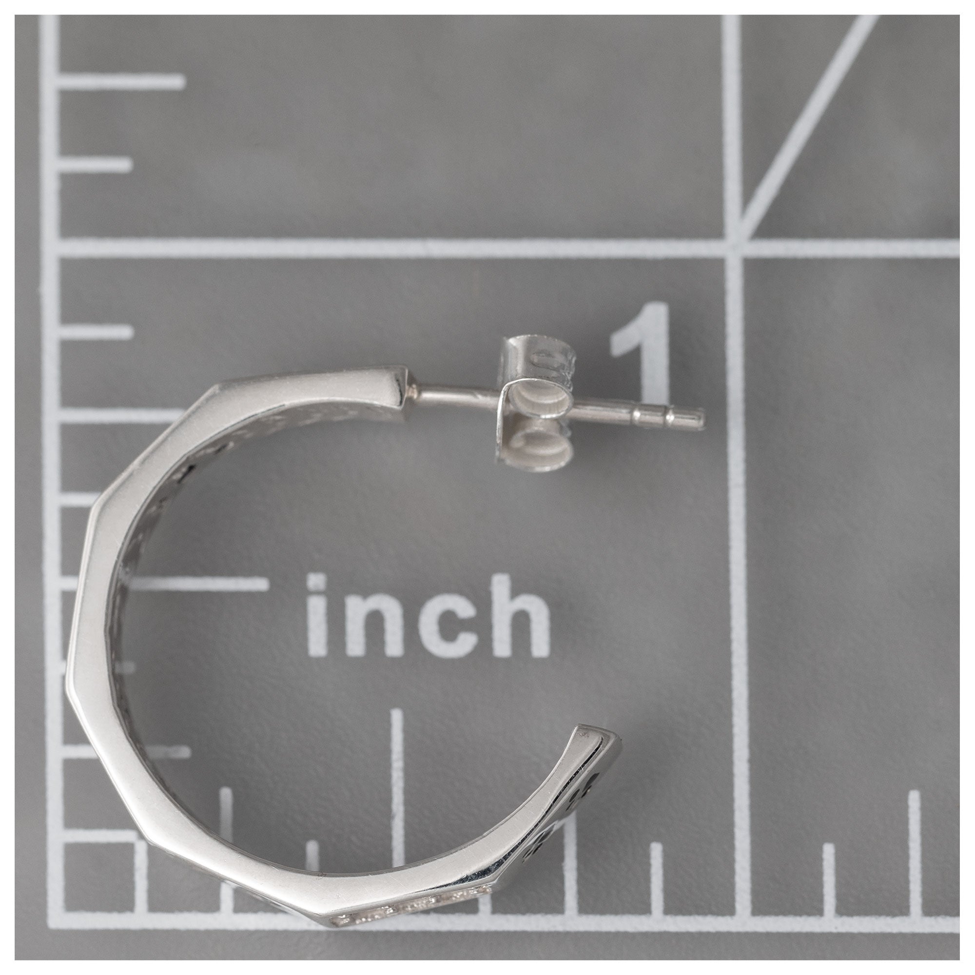 Paws & Crystals Sterling Hoop Earrings - Aaria Tees Aaria Tees