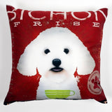 Art Print Plush Accent Pillow Cover - Aaria Tees Aaria Tees