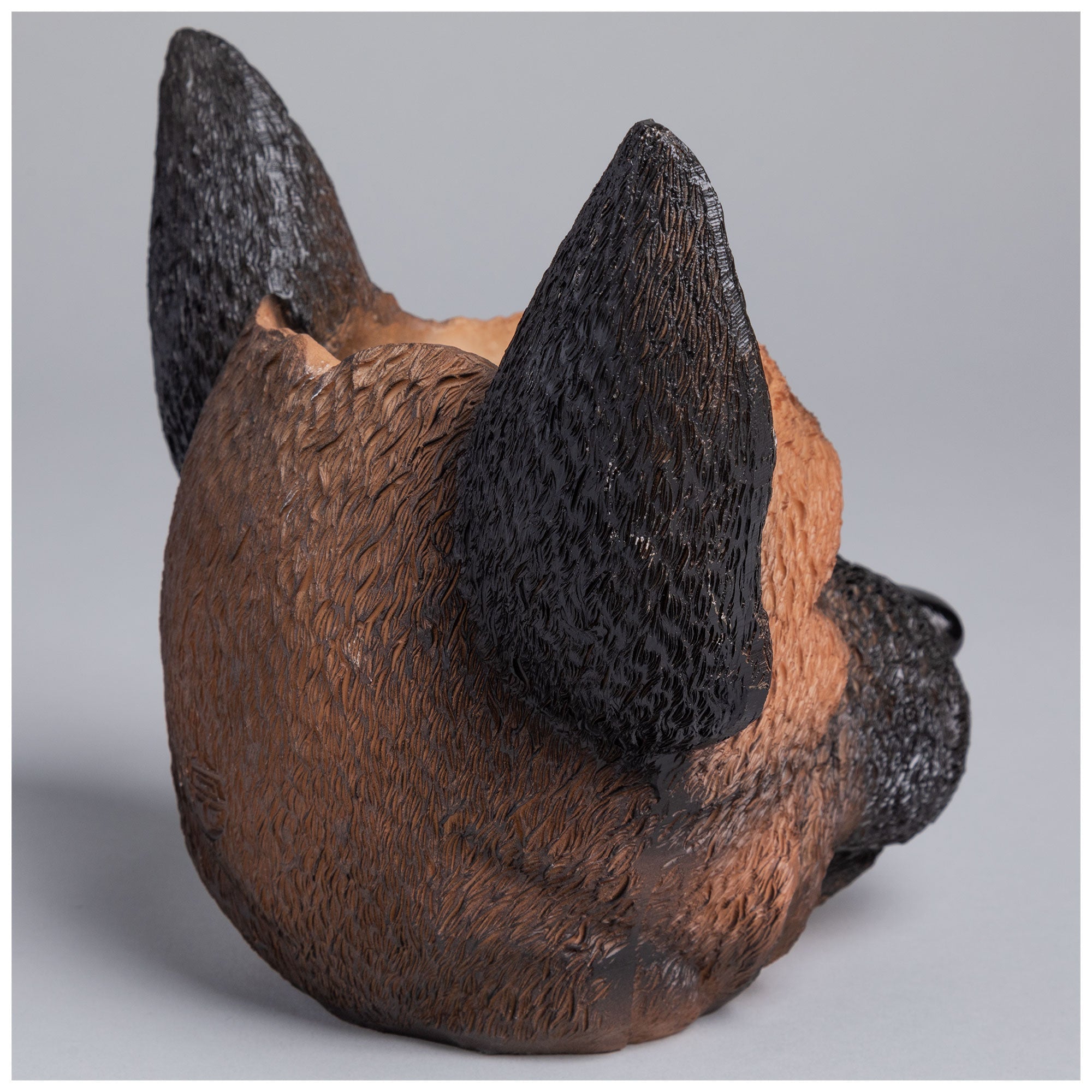 Furry Friend Planter - Aaria Tees Aaria Tees