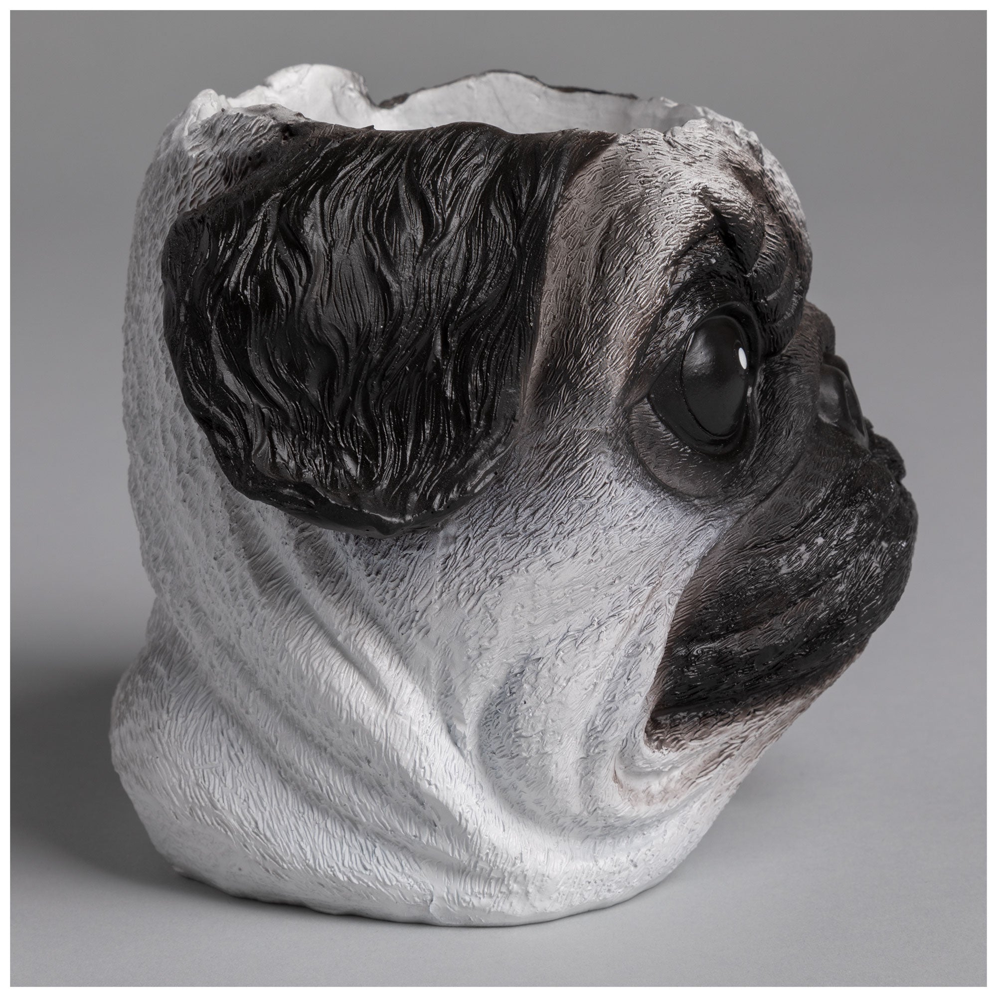 Furry Friend Planter - Aaria Tees Aaria Tees