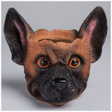 Furry Friend Planter - Aaria Tees Aaria Tees