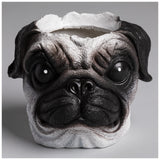 Furry Friend Planter - Aaria Tees Aaria Tees