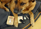 Your New Dog Welcome Tin - Aaria Tees Aaria Tees