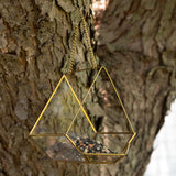 Open Air Glass Bird House - Aaria Tees Aaria Tees