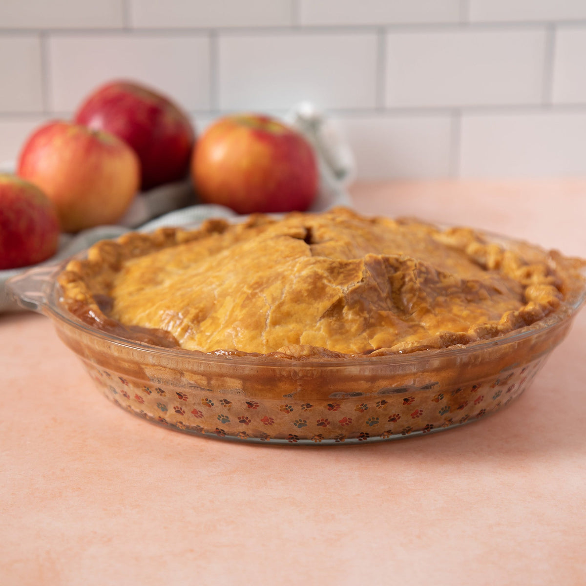 Paws Delight Glass Pie Plate - Aaria Tees