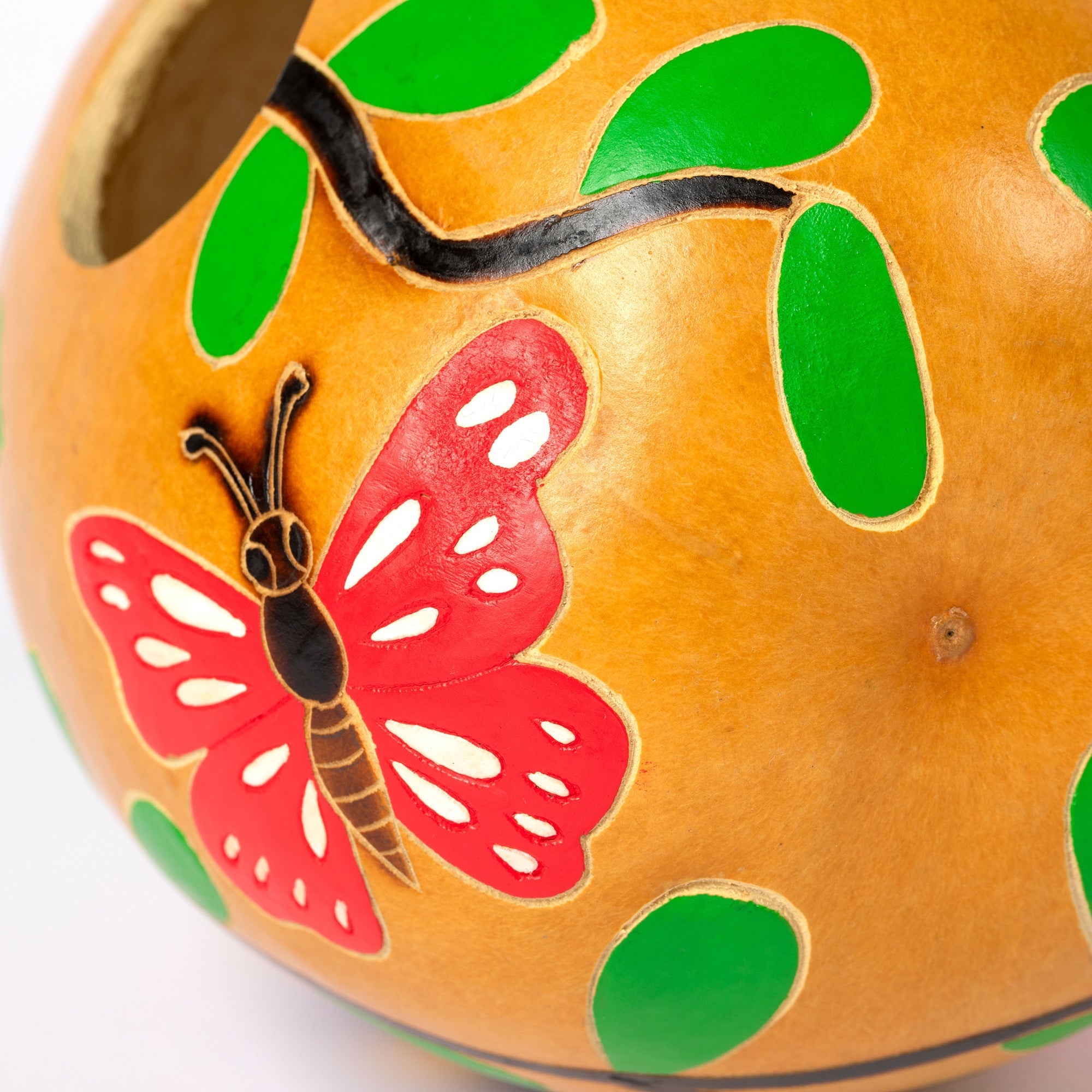 Hand Painted Gourd Birdhouse - Aaria Tees Aaria Tees