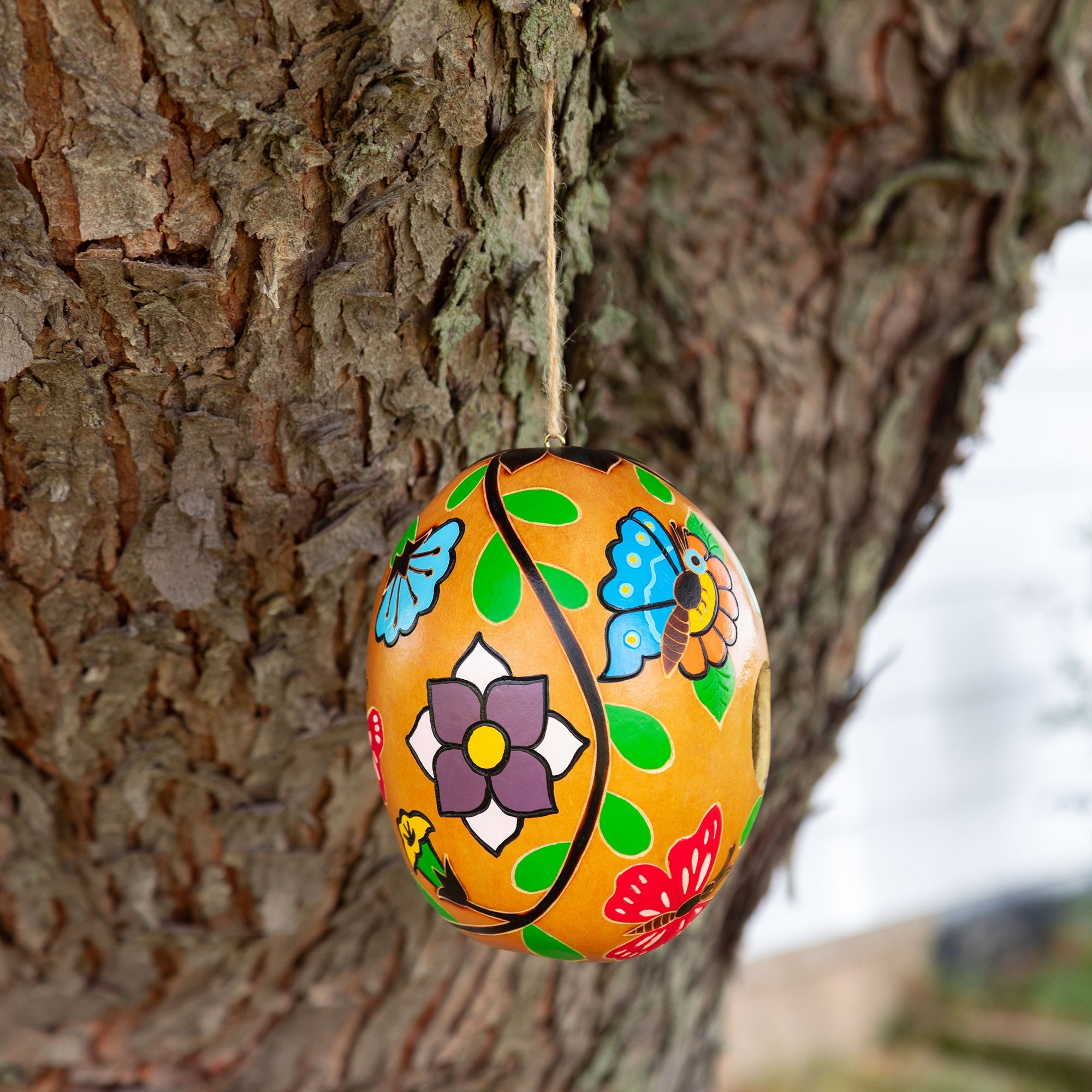 Hand Painted Gourd Birdhouse - Aaria Tees Aaria Tees