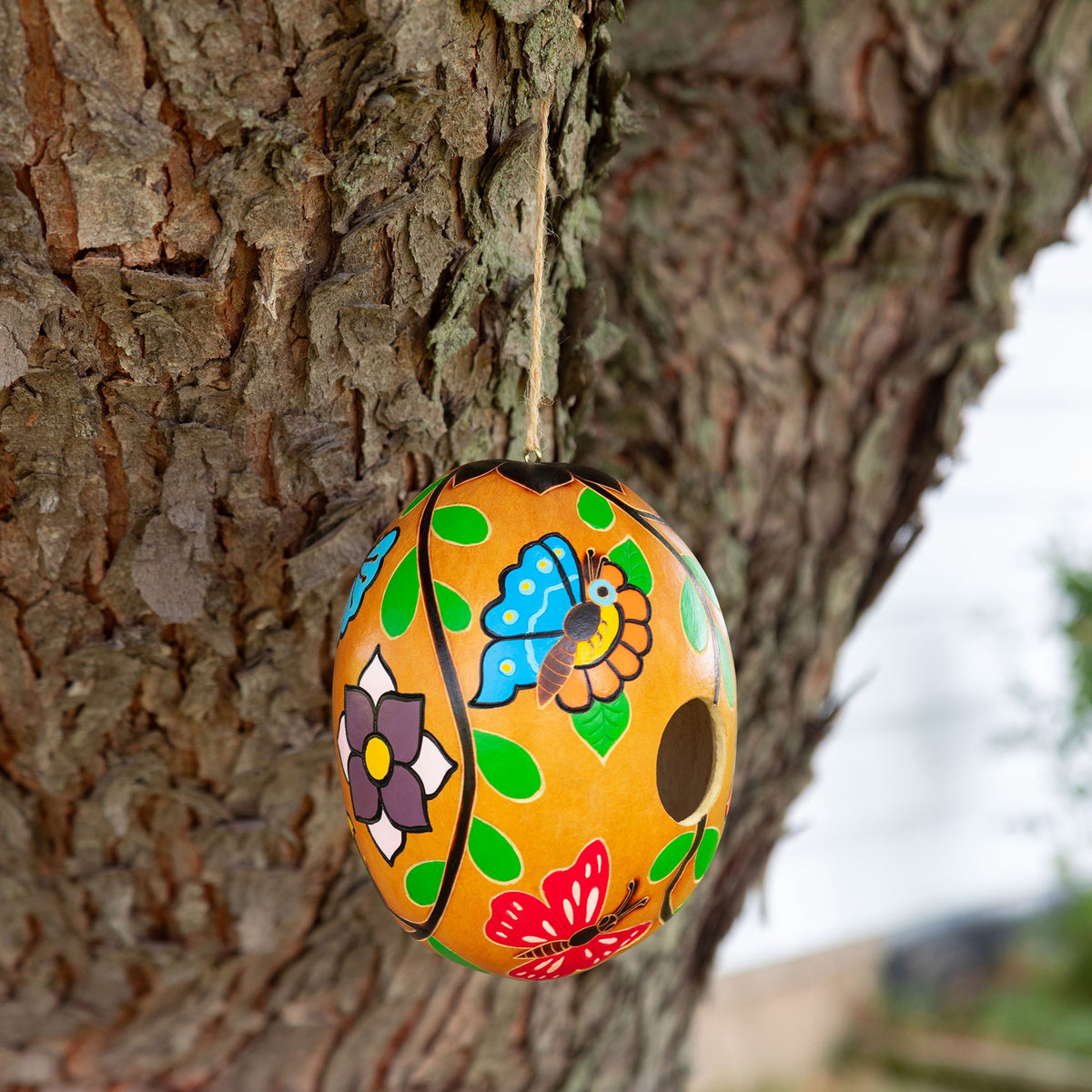 Hand Painted Gourd Birdhouse - Aaria Tees