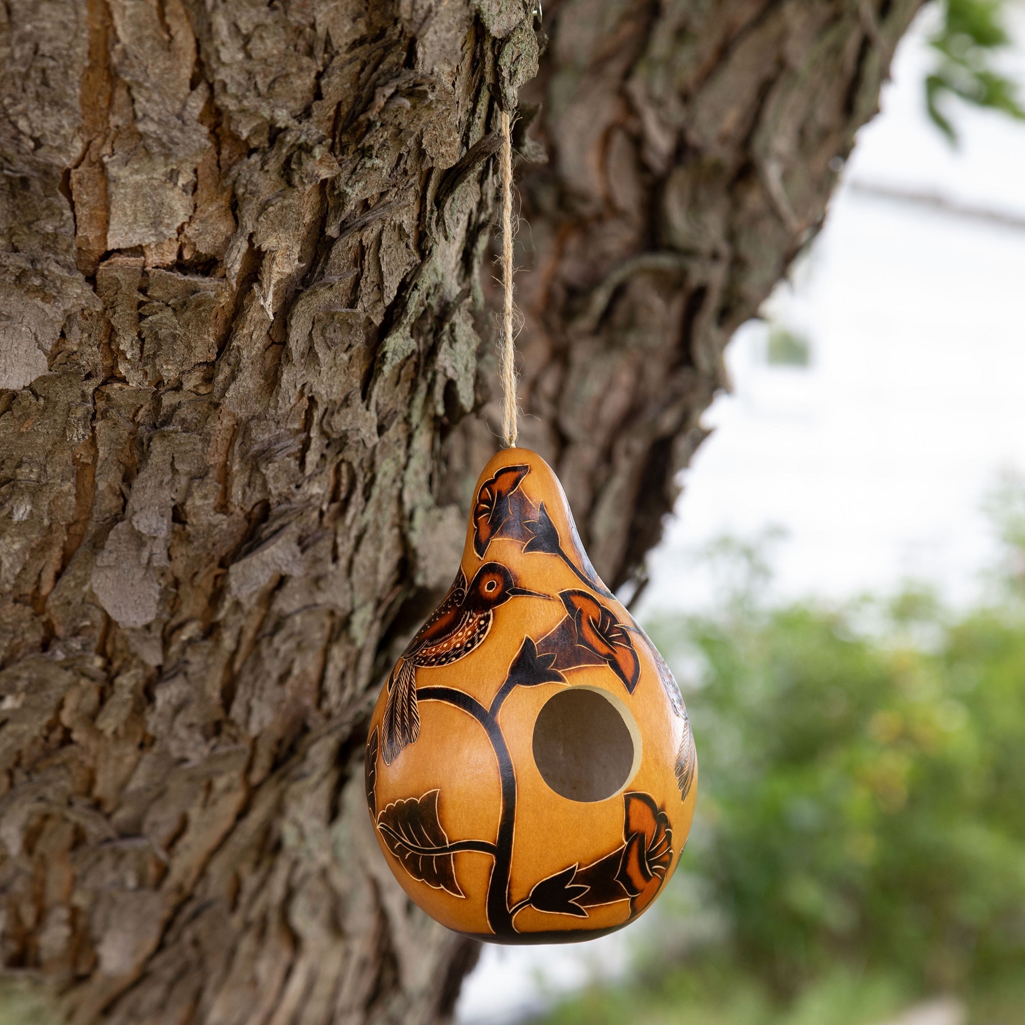 Hand Painted Gourd Birdhouse - Aaria Tees Aaria Tees