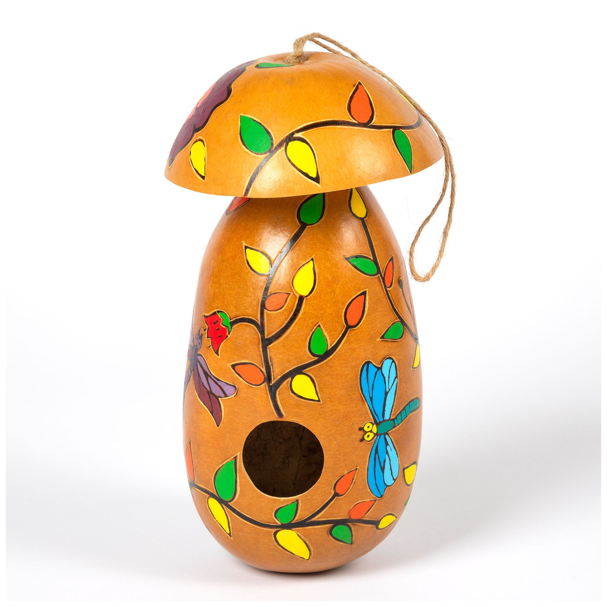 Hand Painted Gourd Birdhouse - Aaria Tees Aaria Tees