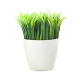 Potted Pen Stand - Aaria Tees Aaria Tees