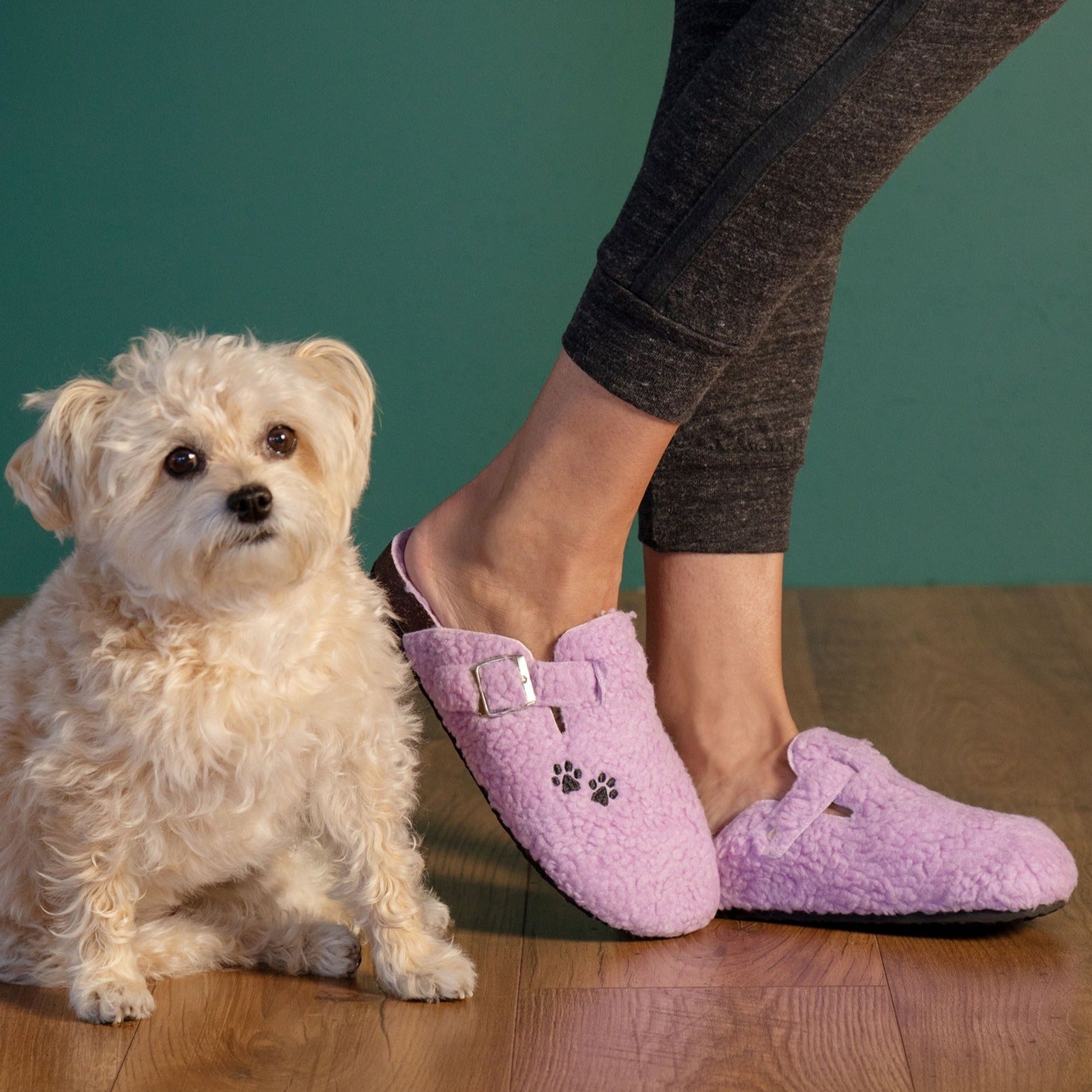 Paw Print Plush Sherpa Fleece Clog Slippers - Aaria Tees Aaria Tees