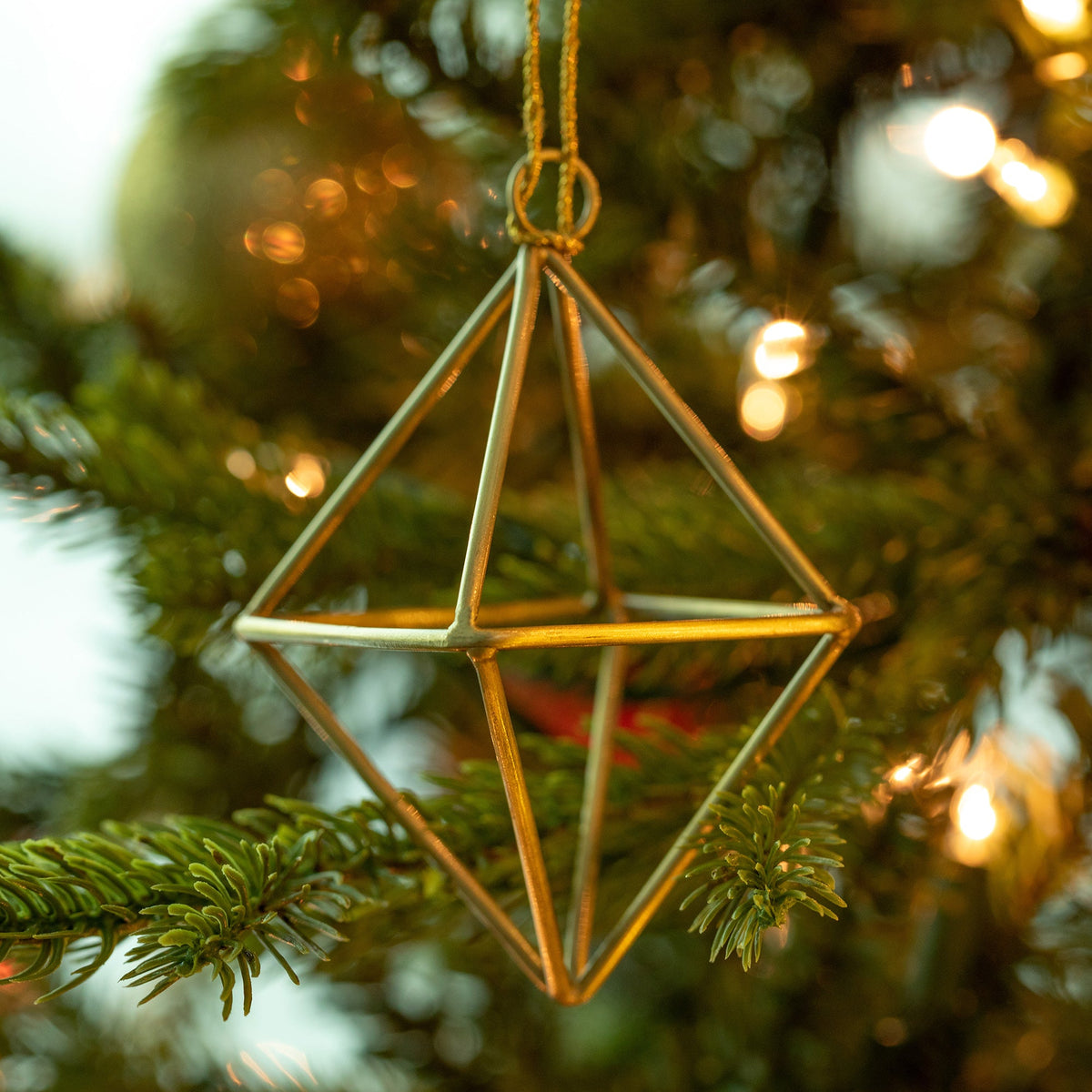 Open Air Diamond Terrarium Ornament - Aaria Tees