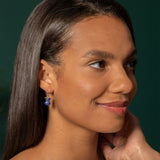 Faceted Gemstone Gold Filled Earrings - Aaria Tees Aaria Tees
