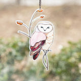 Beauty In Nature Indoor Sun Catcher - Aaria Tees Aaria Tees
