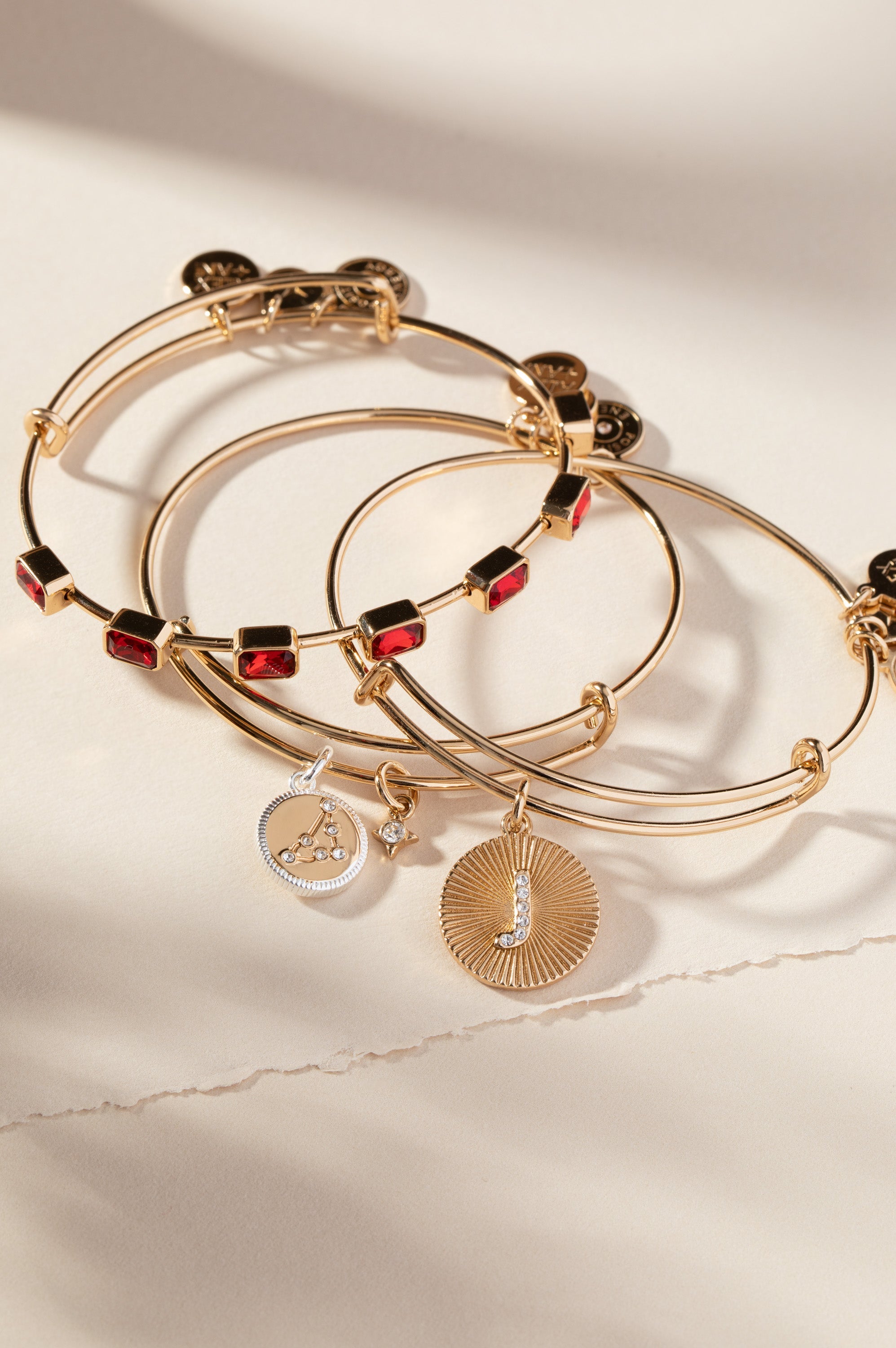 Capricorn Zodiac Charm Bangle - Aaria Tees Aaria Tees
