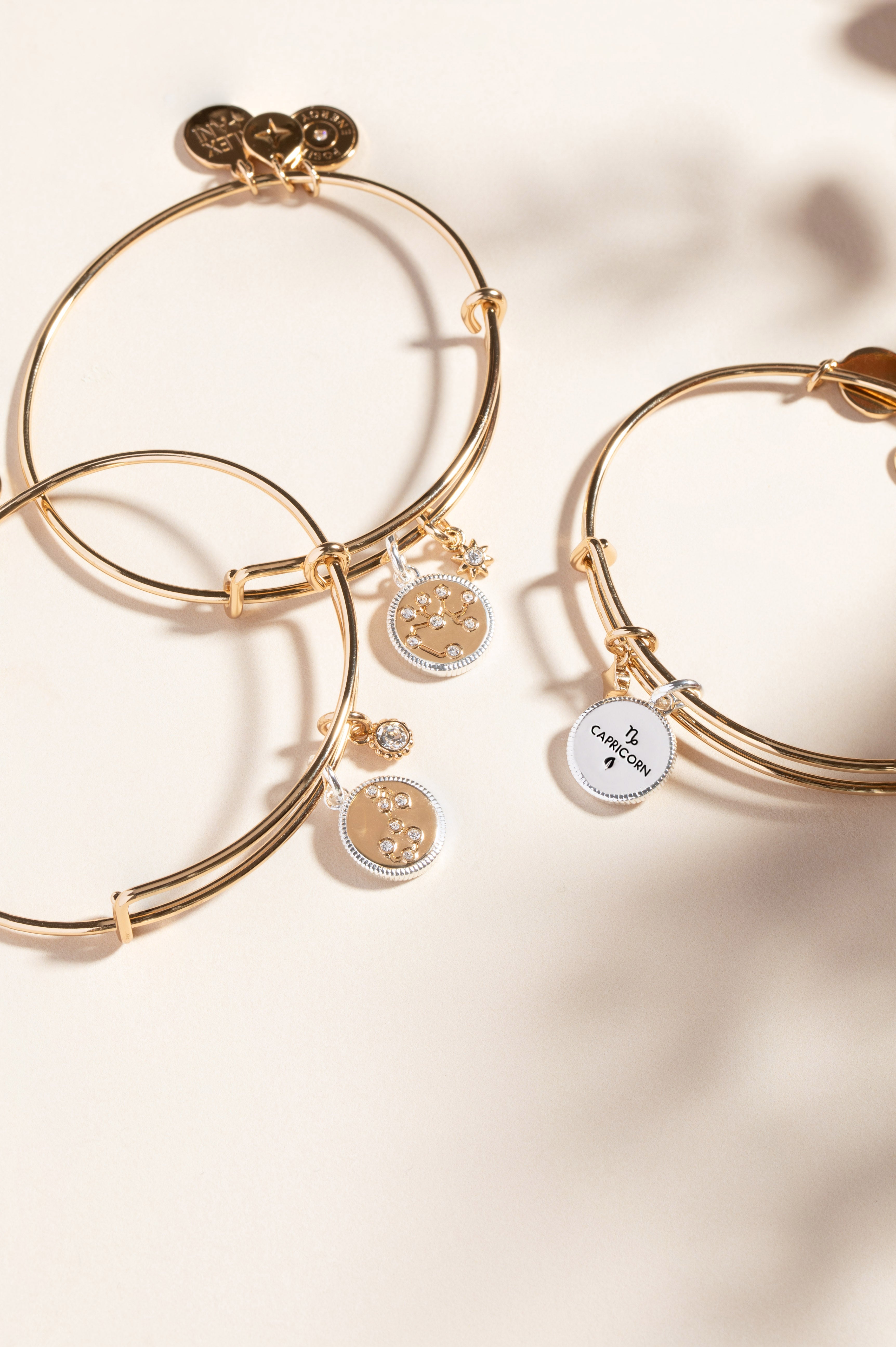 Capricorn Zodiac Charm Bangle - Aaria Tees Aaria Tees