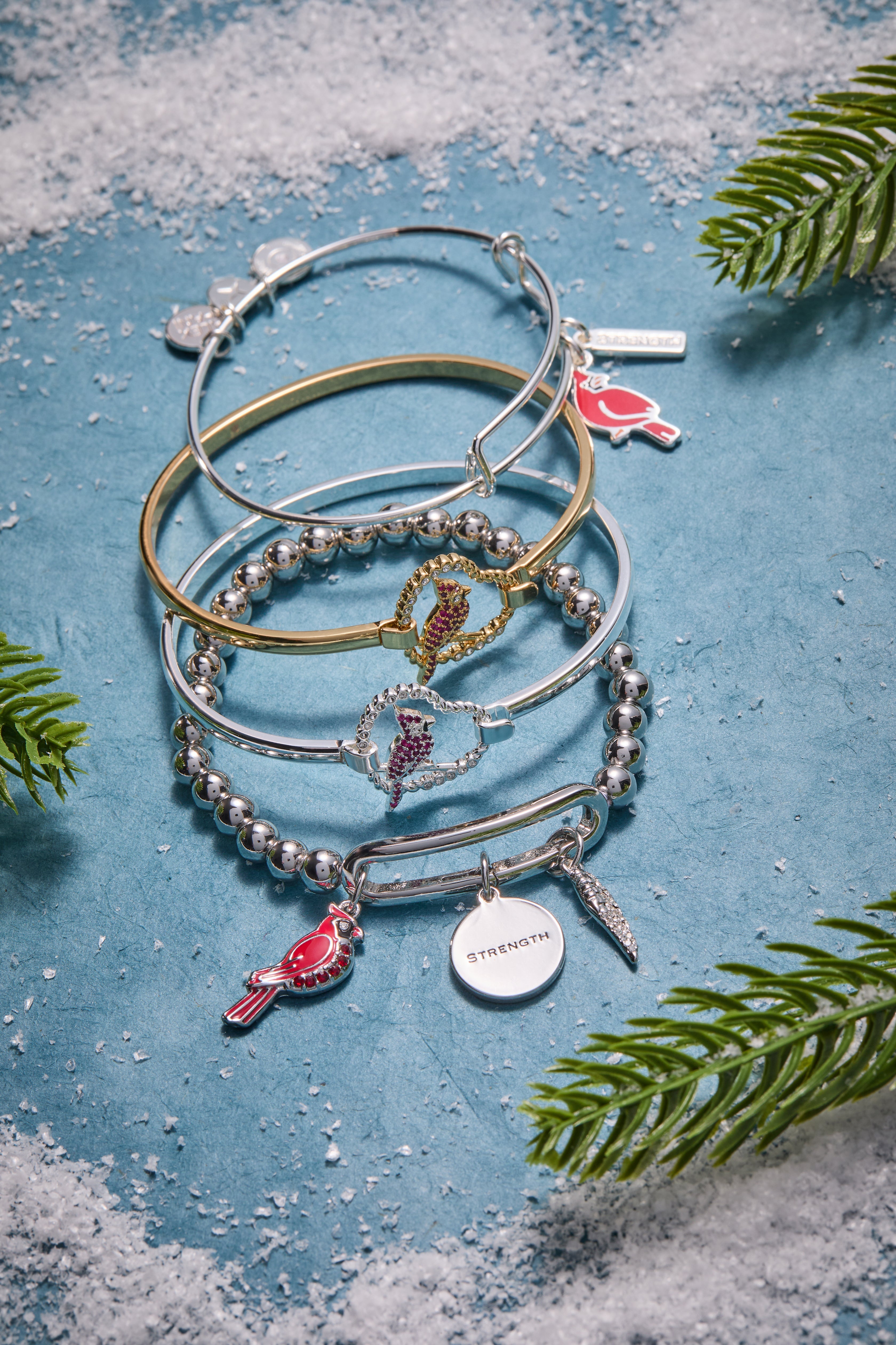 'Strength' Cardinal Duo Charm Bangle Bracelet - Aaria Tees Aaria Tees