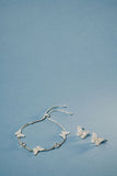 Glass Butterfly Statement Stud Earrings - Aaria Tees Aaria Tees