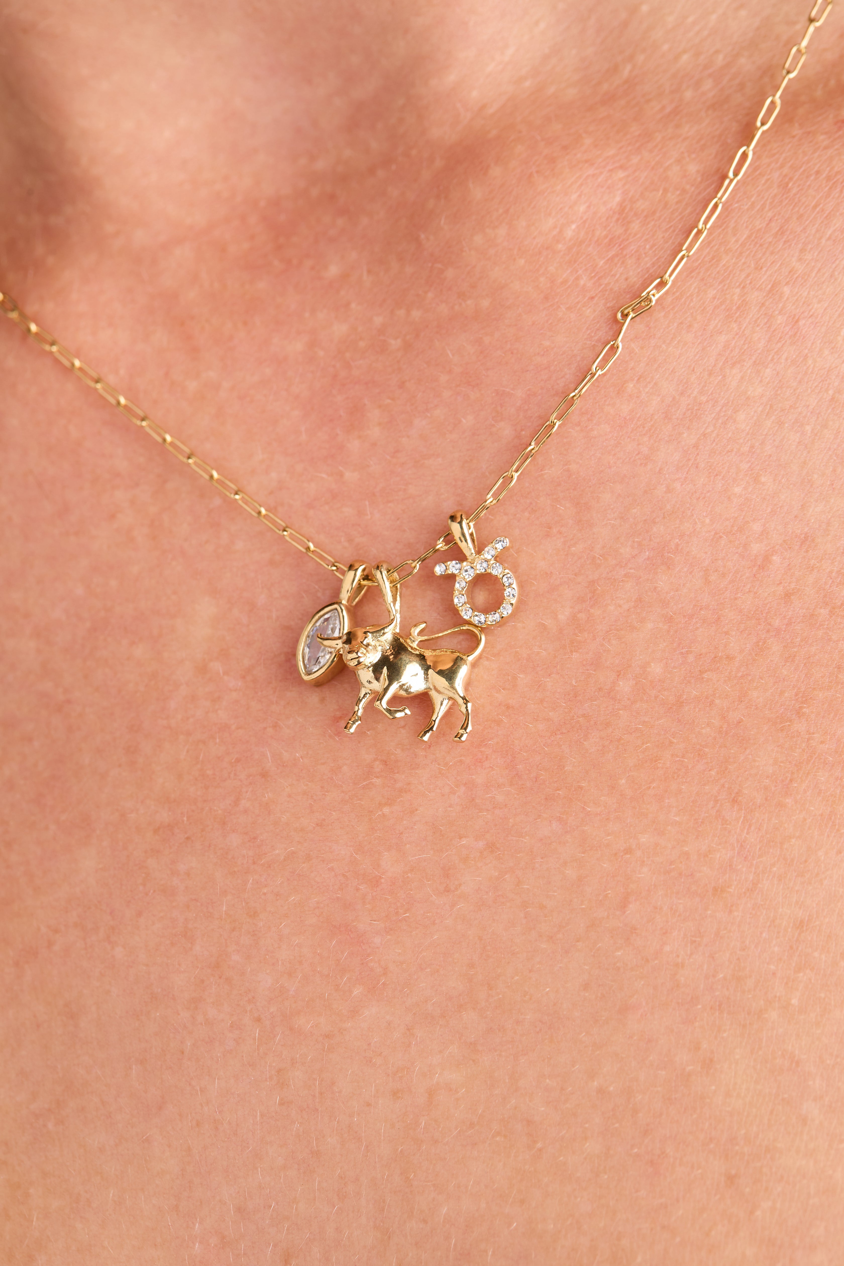 Taurus Zodiac Charm Cluster Necklace - Aaria Tees Aaria Tees