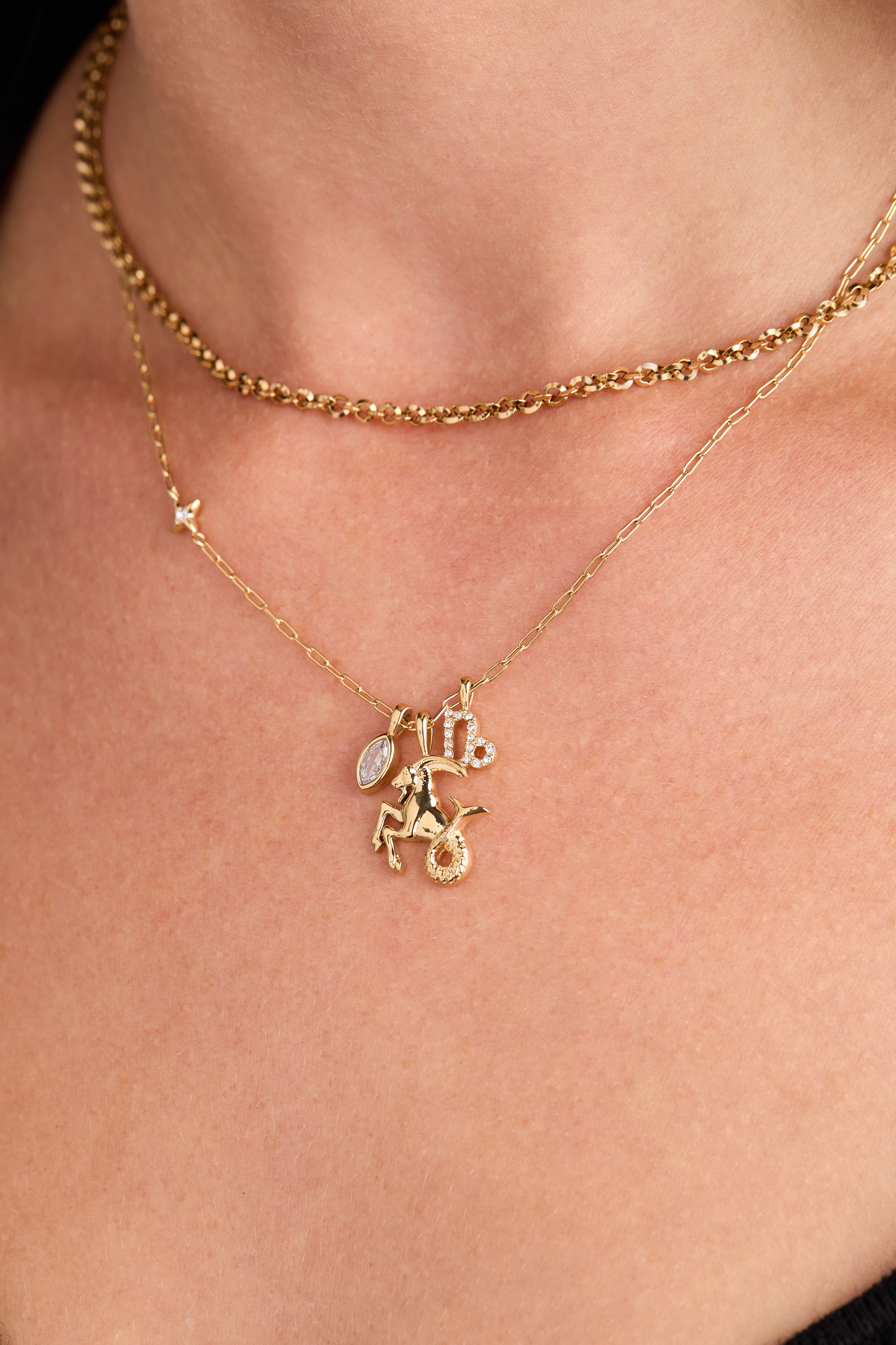 Capricorn Zodiac Charm Cluster Necklace - Aaria Tees Aaria Tees