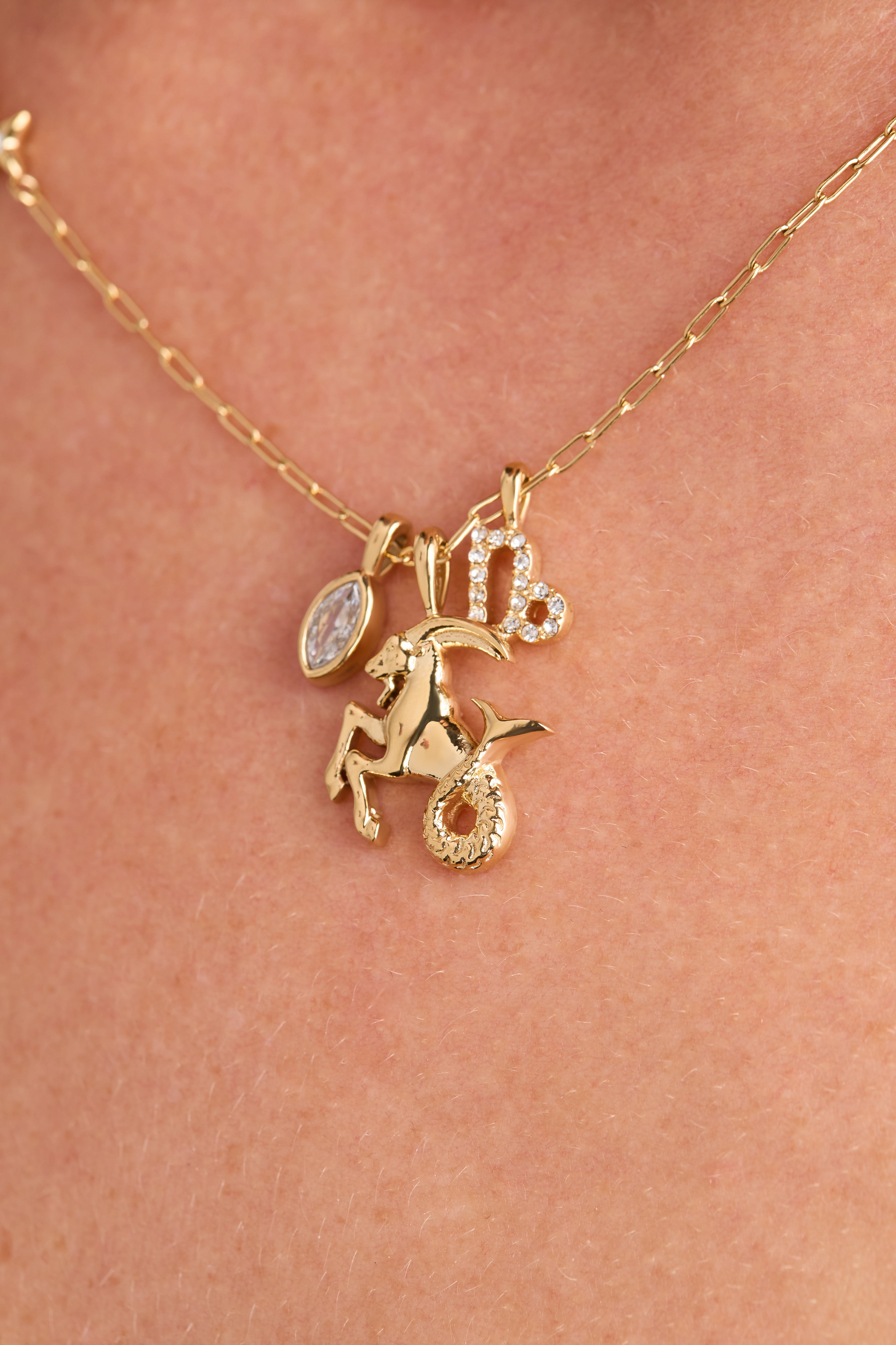 Capricorn Zodiac Charm Cluster Necklace - Aaria Tees Aaria Tees