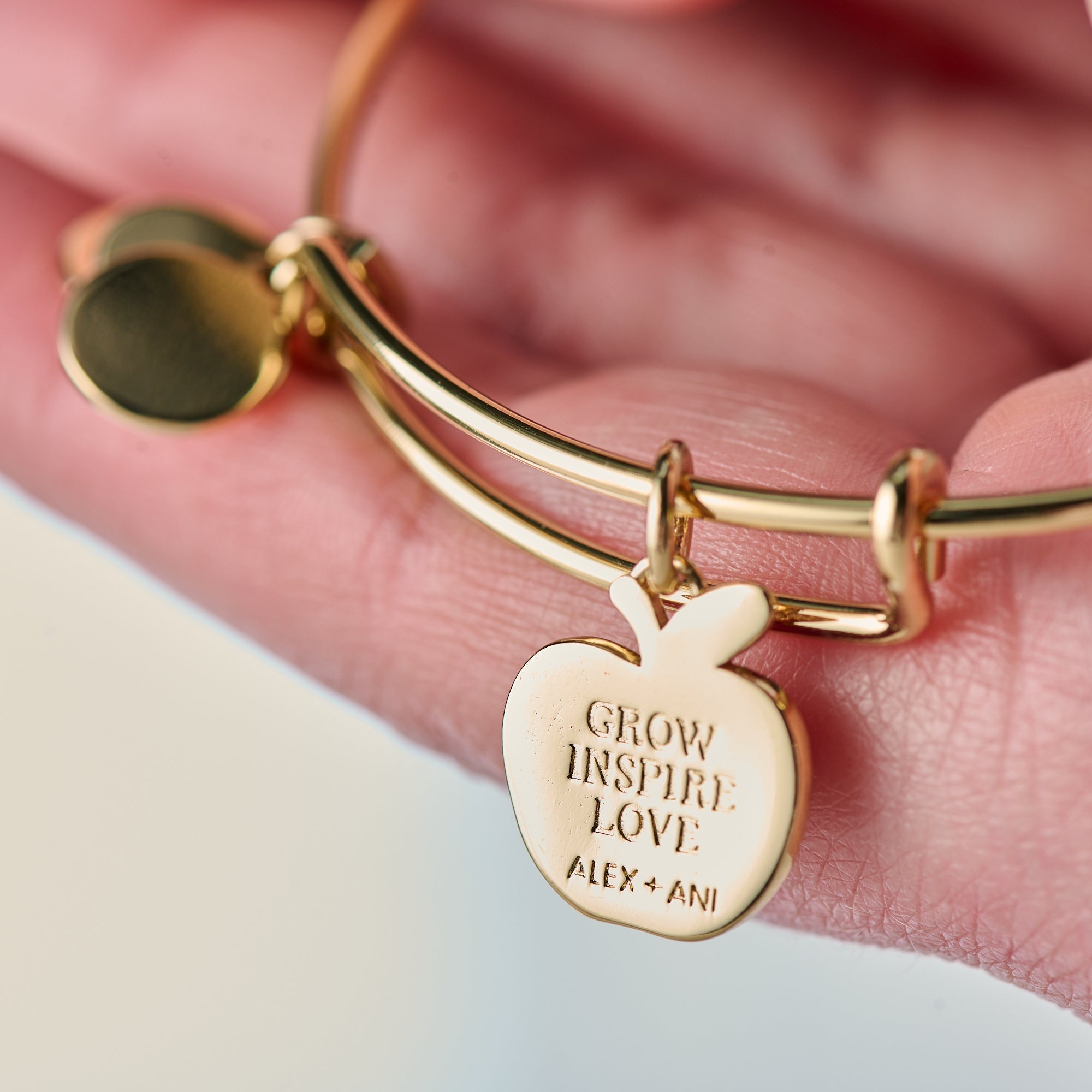 Teacher 'Grow, Inspire, Love' Apple Charm Bangle - Aaria Tees Aaria Tees