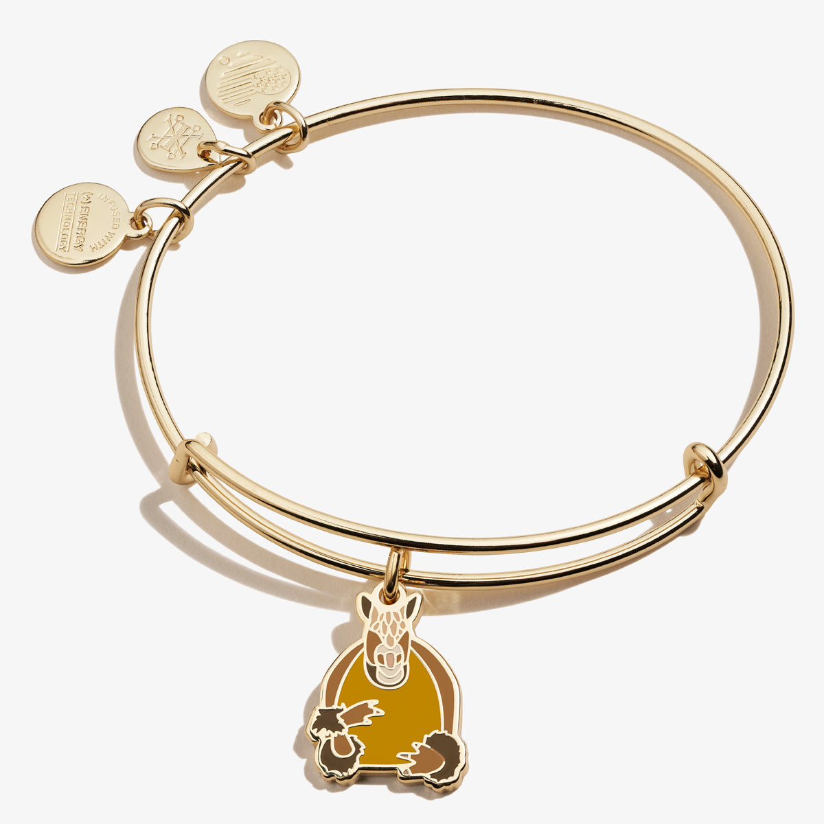 FRIENDS™ Holiday Armadillo Charm Bangle - Aaria Tees Aaria Tees