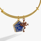 Harry Potter™ Chocolate Frog Two-Charm Bangle - Aaria Tees Aaria Tees
