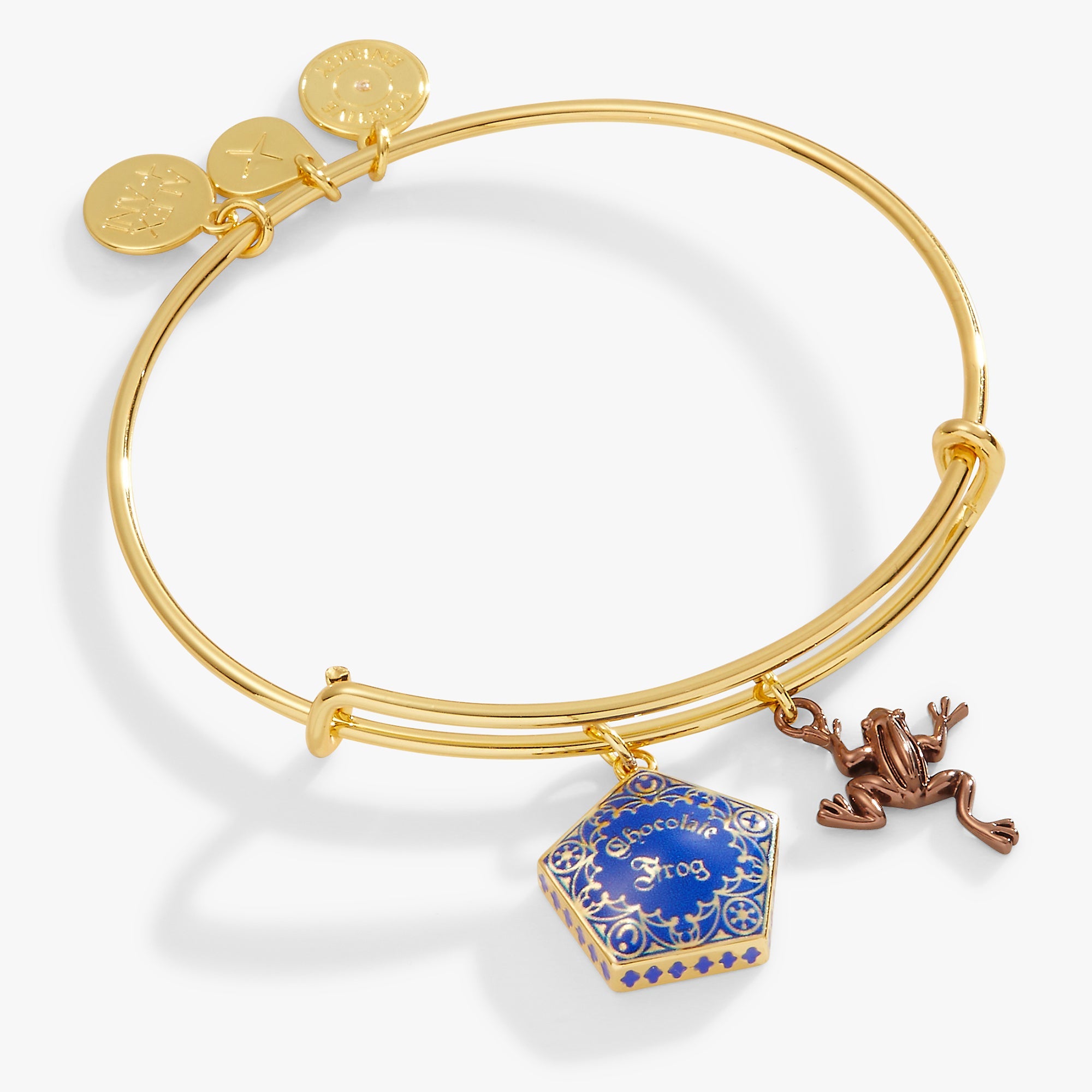 Harry Potter™ Chocolate Frog Two-Charm Bangle - Aaria Tees Aaria Tees