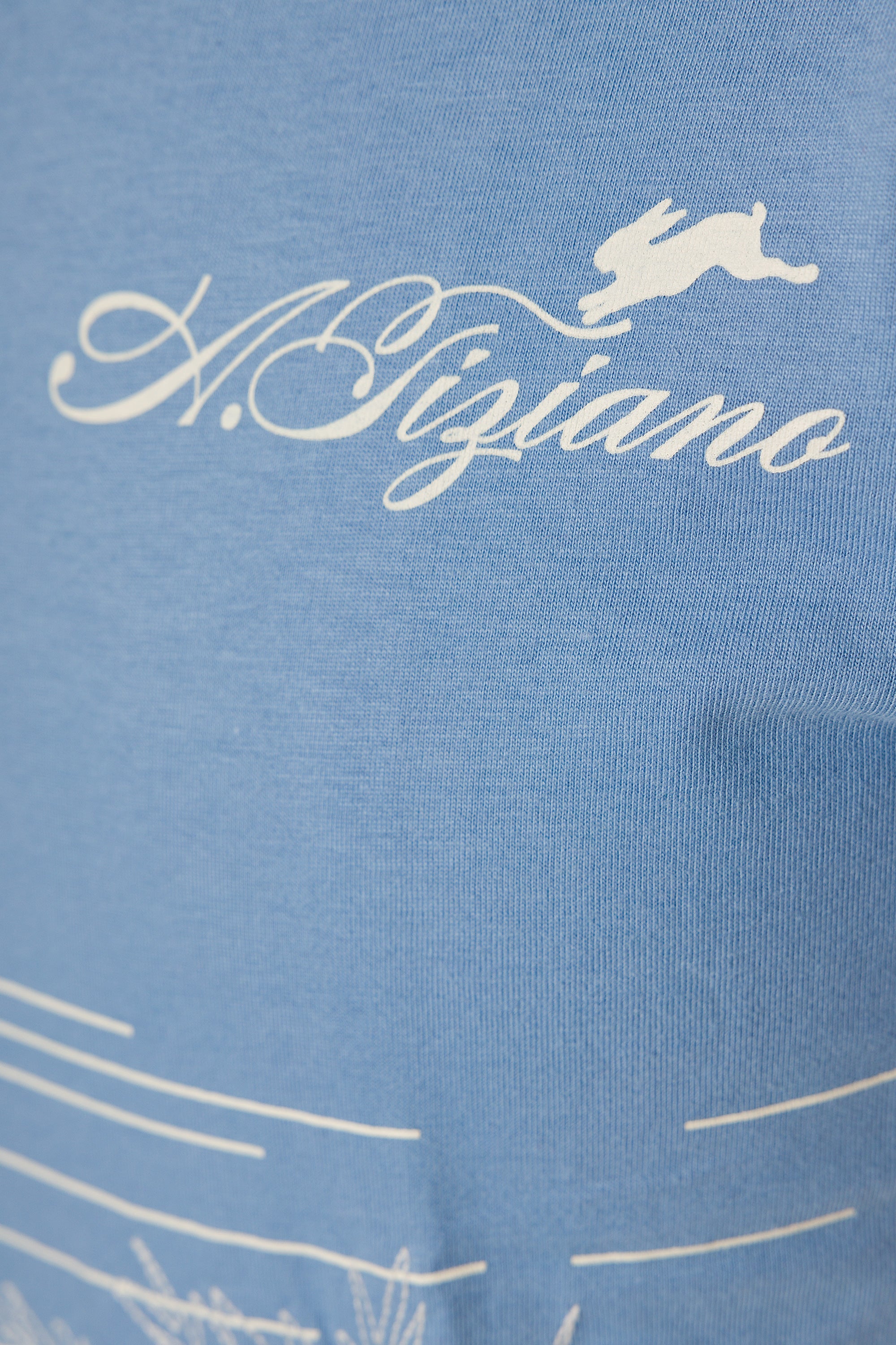 Alfonzo | Graphic Print Tee - Aaria Tees Aaria Tees
