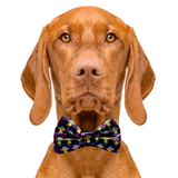 Alien Invasion UFO Dog Bow Tie Aaria Tees
