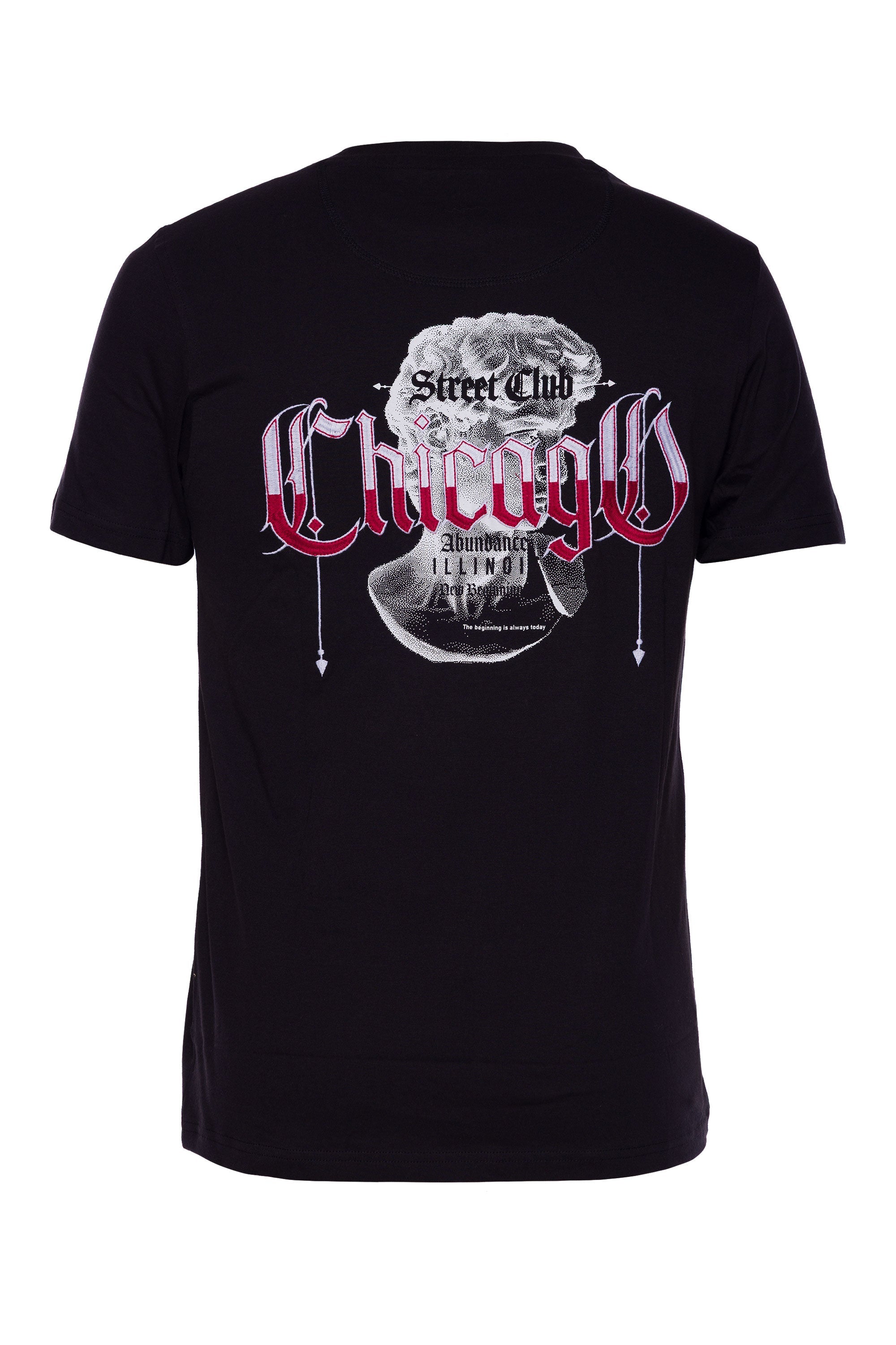 Anderson | Graphic Print Tee - Aaria Tees Aaria Tees