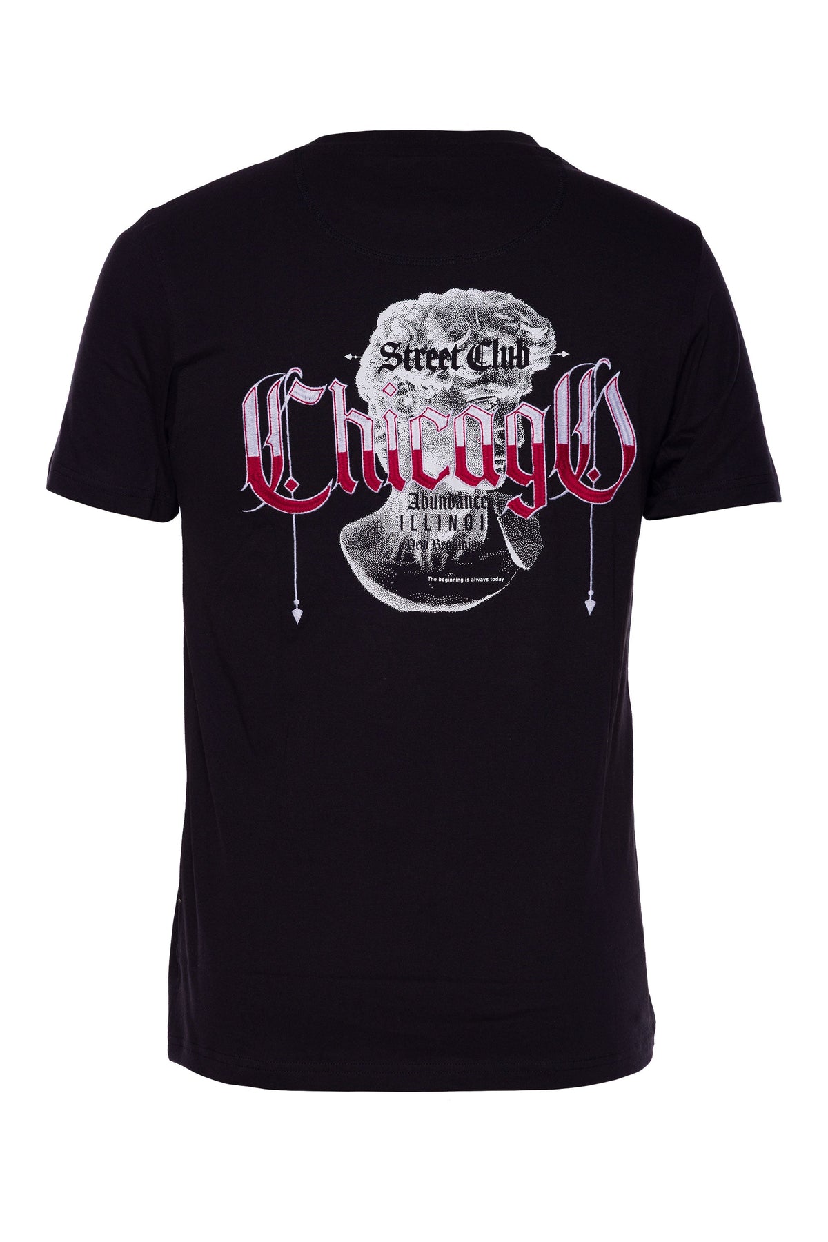 Anderson | Graphic Print Tee - Aaria Tees