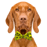 Avodoggo Green Avocado Dog Bow Tie Aaria Tees