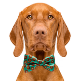 Bagel Dog Bow Tie Aaria Tees