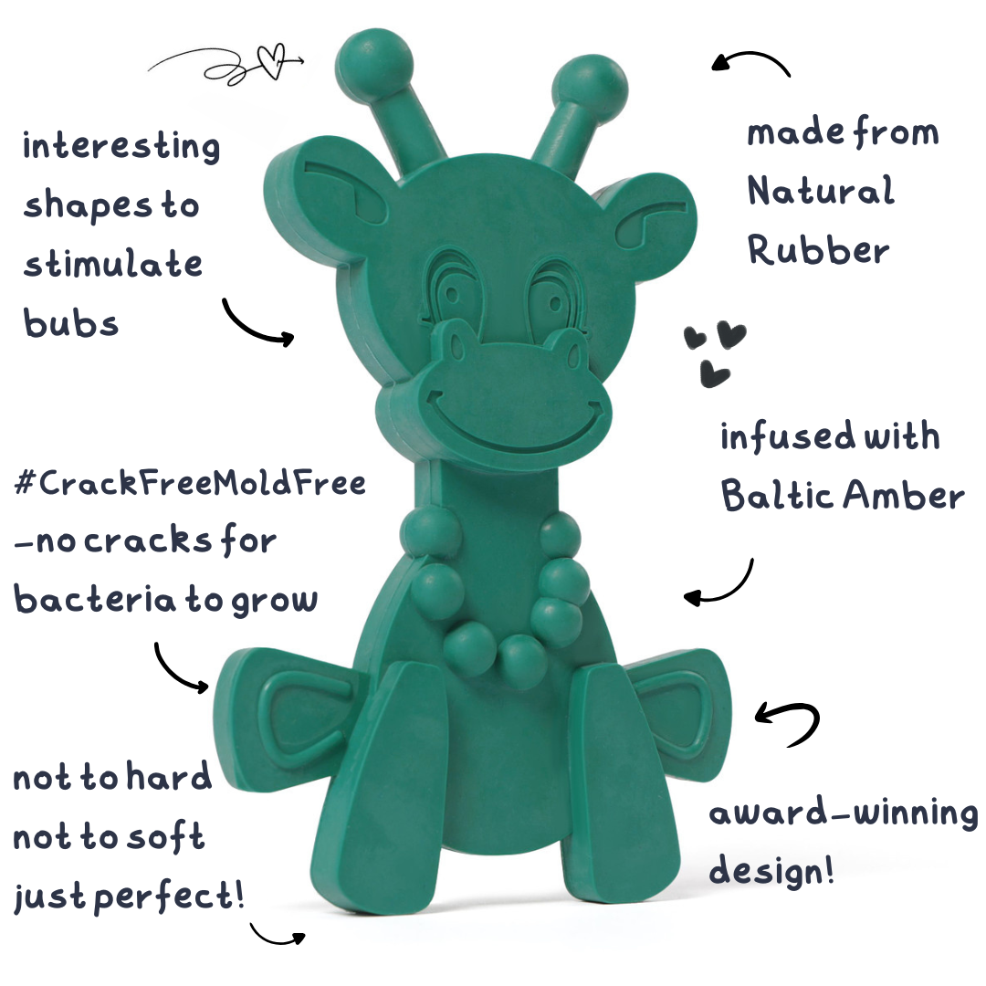 The Little Bamber - Green - Natural Rubber & Baltic Amber Teething Toy - Aaria Tees Aaria Tees