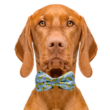 Banana Light Blue Dog Bow Tie Aaria Tees