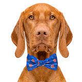 Basketball Sports Blue Dog Bow Tie Aaria Tees